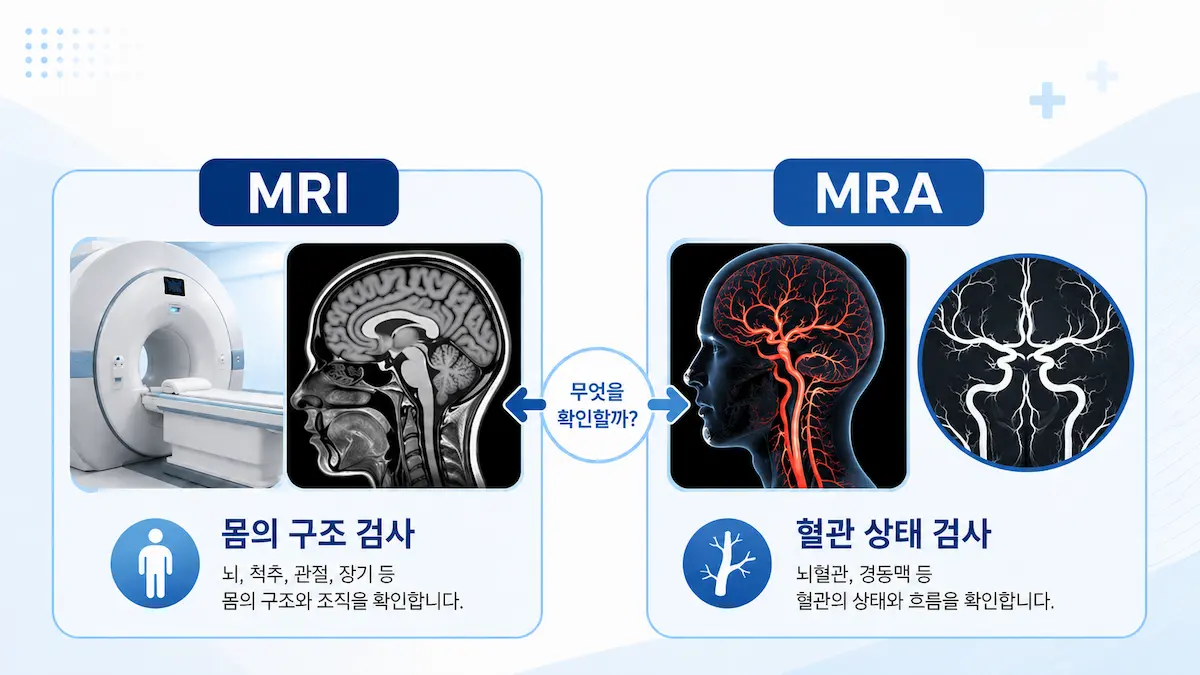 MRI와 MRA 차이 쉽게 이해하기｜검사 목적과 확인하는 부위