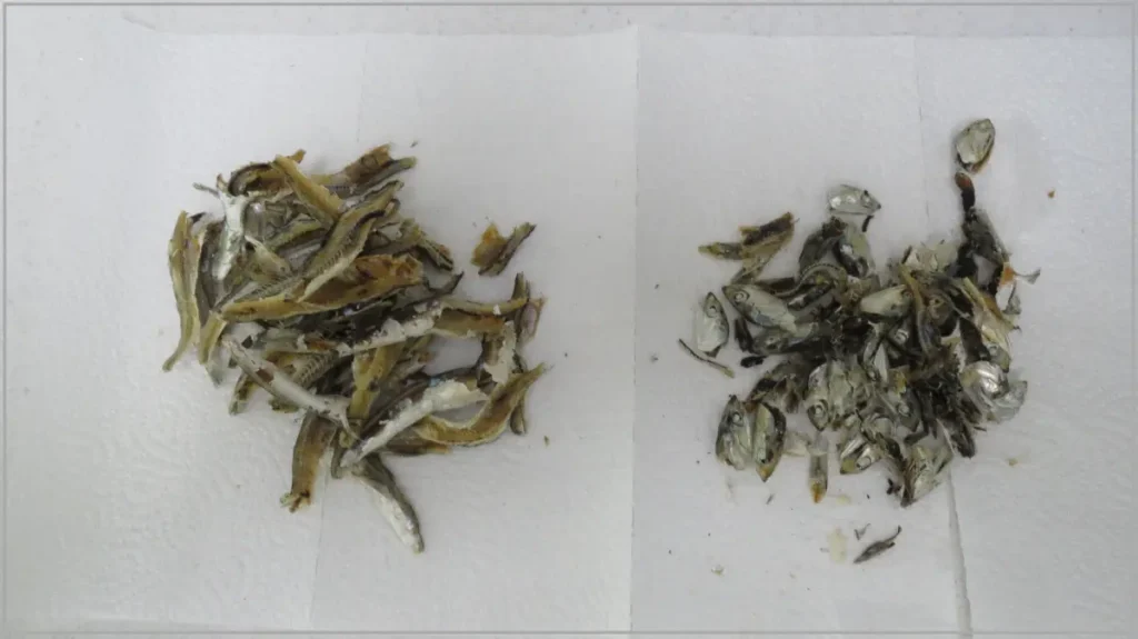 cleaned-anchovies-for-broth